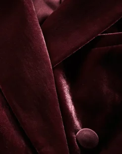 Ellette Dickey Jacket in Wine